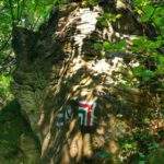 Kozie Skały, Beskid Mały, oznaczenie na skałach przebiegu szlaku czerwonego i szlaku zielonego, las