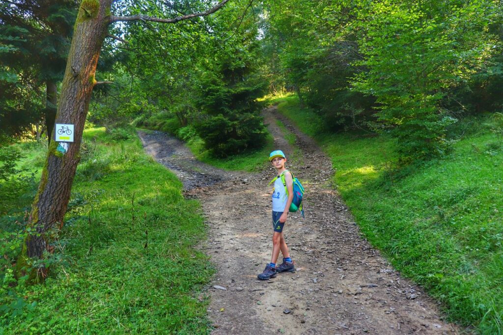 Las, dziecko, rozwidlenie, szlak zielony spacerowy i szlak żółty rowerowy na Słowiankę