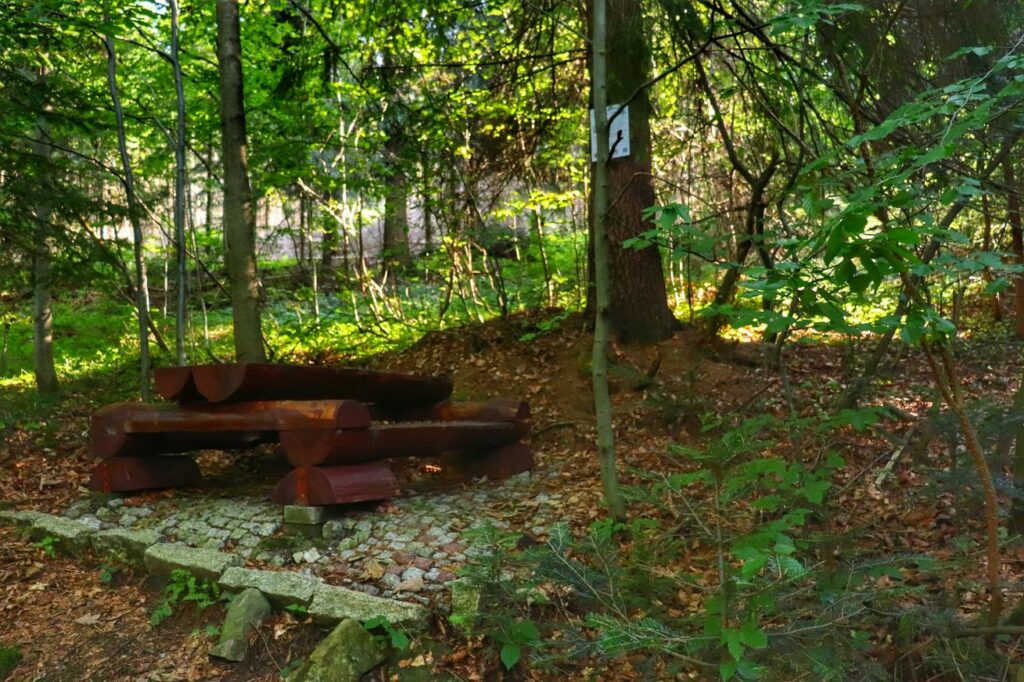 Miejsce wypoczynkowe - szlak zielony spacerowy na Słowiankę, las