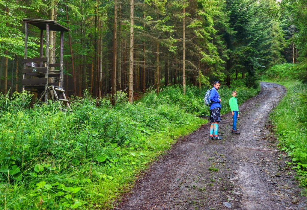 Mężczyzna z dzieckiem na drodze leśnej prowadzącej na Halę Radziechowską, drewniana budka obserwacyjna