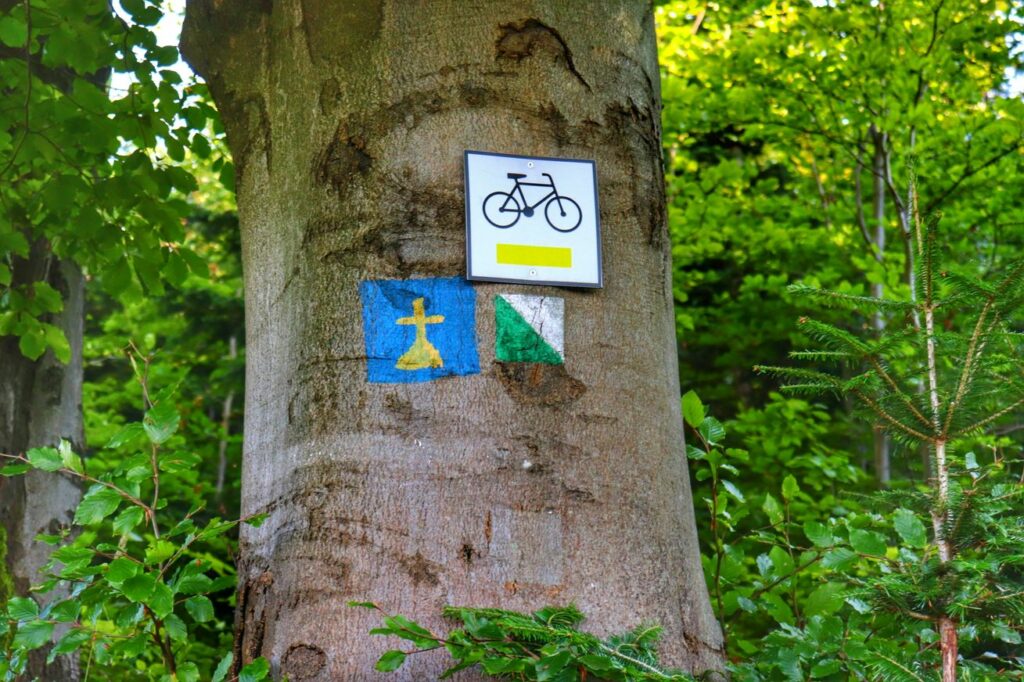 Oznaczenie na drzewie - zielonego szlaku spacerowego i żółtego szlaku rowerowego na Słowiankę, szlak papieski