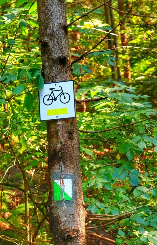 Oznaczenie na drzewie żółtego szlaku rowerowego i zielonego szlaku spacerowego - Brzuśnik, las