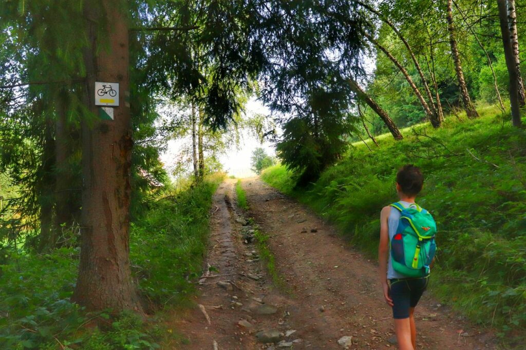 Pnąca się w górę droga prowadząca do Hali Magura na zielonym szlaku spacerowym, mały turysta