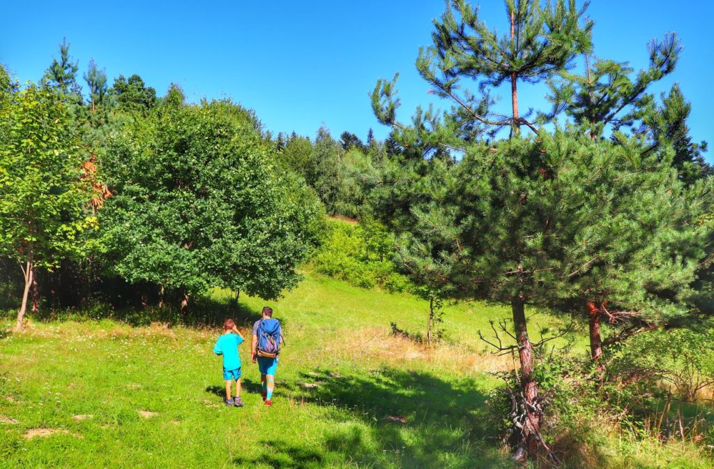 Polana w Beskidzie Małym, grzbiet Żurawnicy, słoneczne popołudnie, turysta z dzieckiem