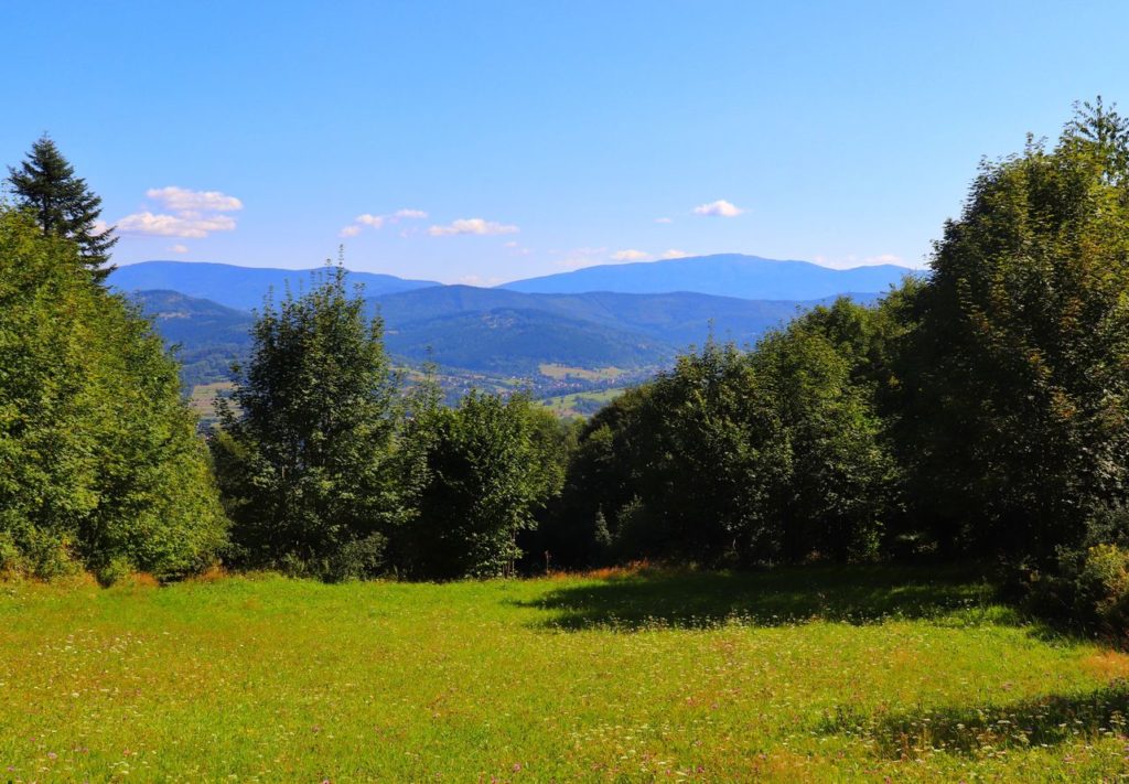 Polana widokowa na zielonym szlaku - Żurawnica, Beskid Mały, widok na szczyty Beskidu Żywieckiego