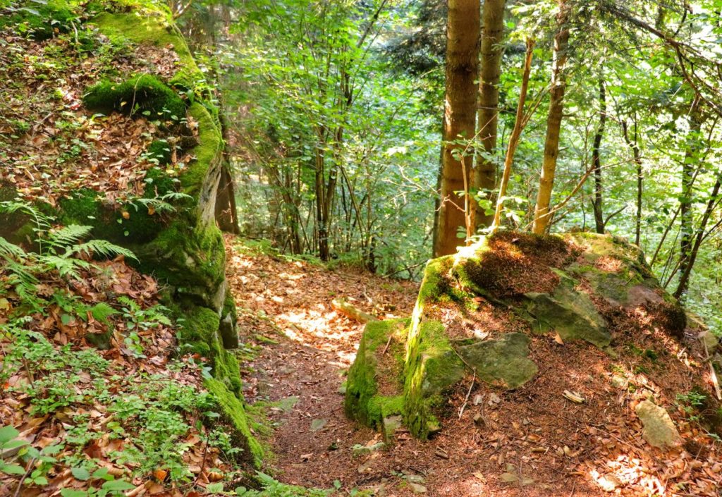 Przejście prowadzące między skałami, las, Beskid Mały - Kozie Skały