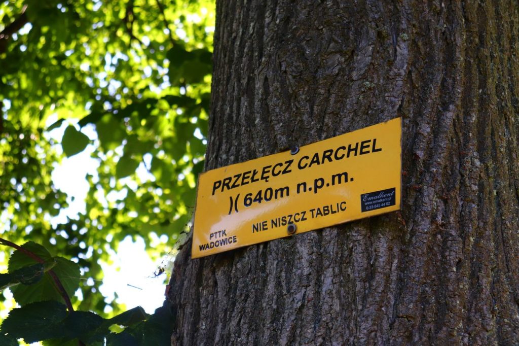 Przełęczy Carchel w Beskidzie Małym, żółta tabliczka na drzewie