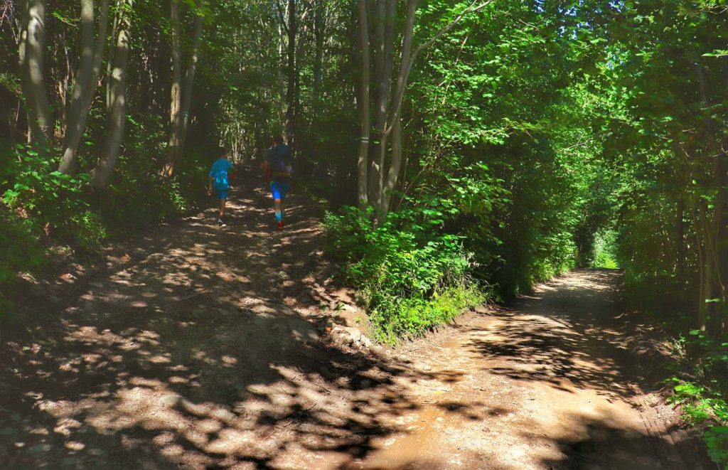 Rozwidlenie szerokiej drogi leśnej na zielonym szlaku - Krzeszów, turysta z dzieckiem, słoneczny dzień