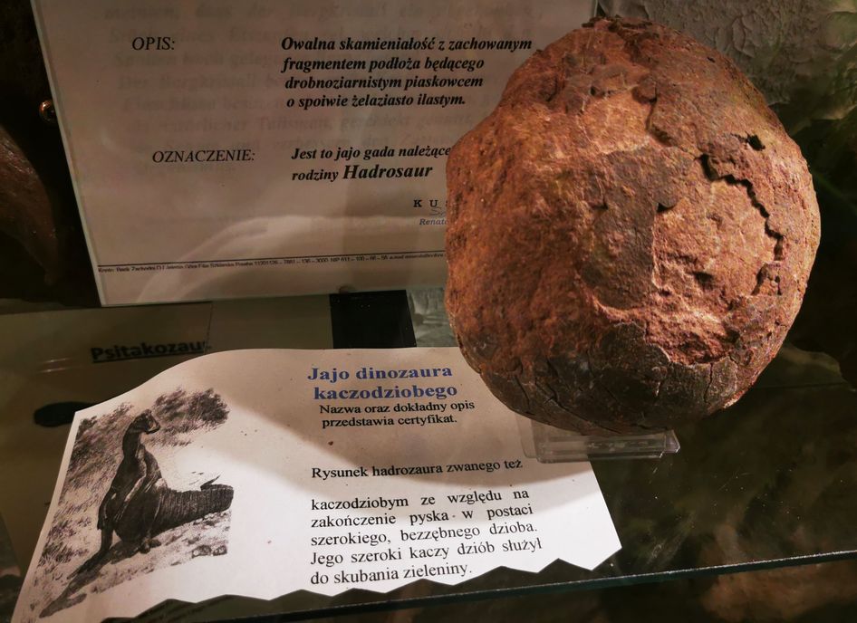Skamieniałe jajo dinozaura, Muzeum Minerałów Szklarska Poręba