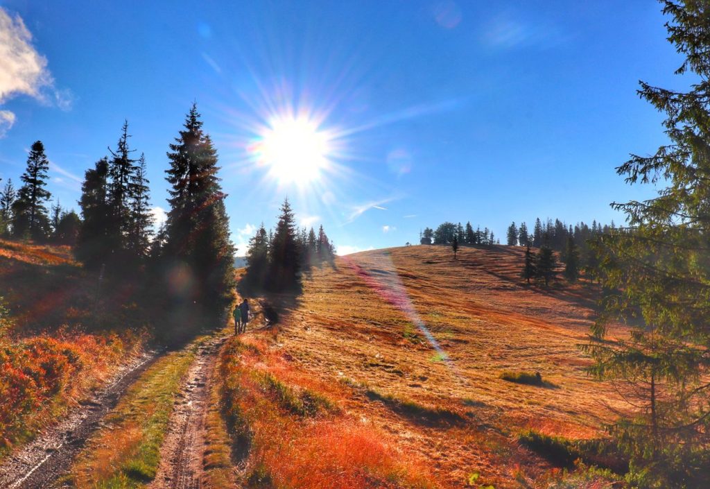 Szeroka droga biegnąca w górę Hali Radziechowskiej, słońce, turysta z dzieckiem
