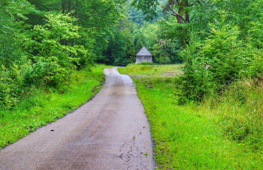 Szeroka droga leśna - asfaltowa, drewniana szopa, Twardorzeczka