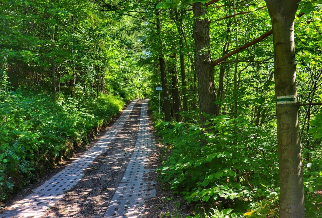 Szeroka droga leśna wyłożona betonowymi płytami - szlak zielony Krzeszów, małopolska