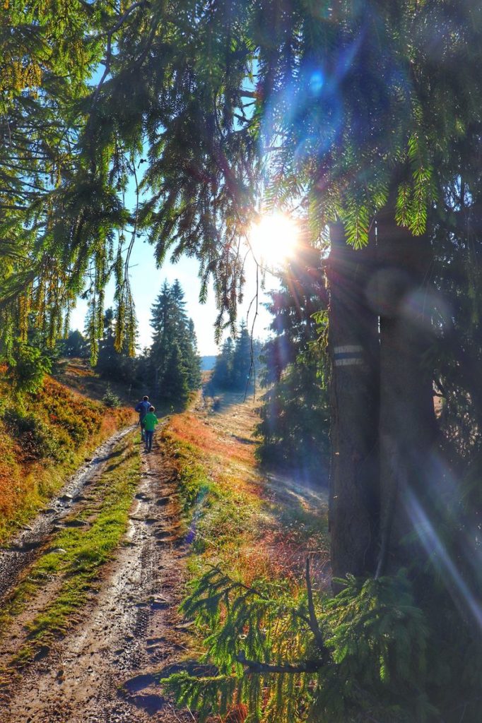 Szlak zielony na Halę Radziechowską, tusysta z dzieckiem, szeroka droga, słońce