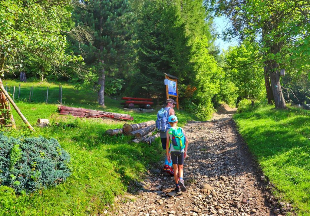 Turyści - mężczyzna z dzieckiem na szerokiej i kamienistej drodze na szlaku zielonym - wieś Brzuśnik