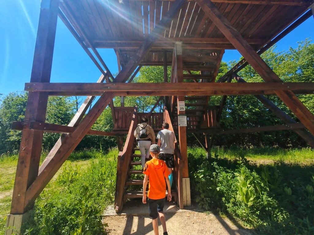 Turyści wychodzący po stromych schodach na 15 metrową drewnianą wieżę obserwacyjną w Wiśle Małej