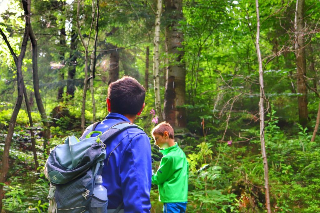 Turysta z dzieckiem, las w Beskidzie Śląskim, Twardorzeczka