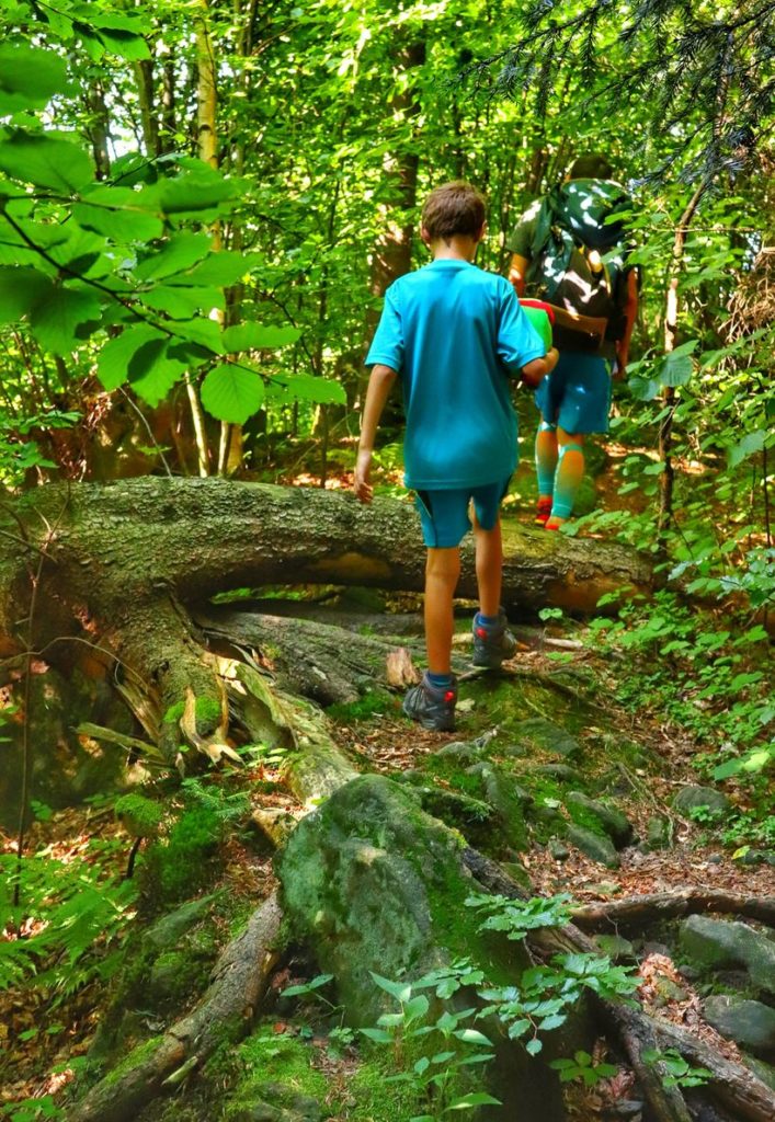 Turysta z dzieckiem, leśna ścieżka, korzenie, szlak zielony - Kozie Skały w Beskidzie Małym