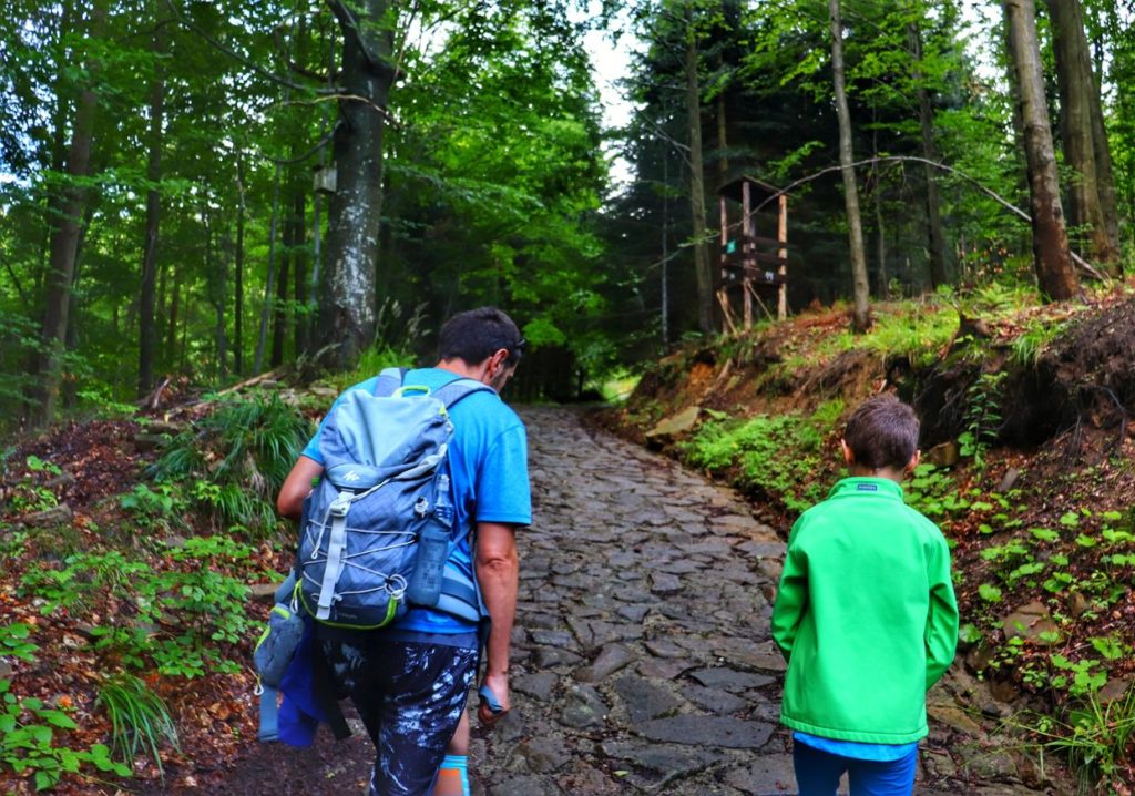 Turysta z dzieckiem na idącej w górę brukowanej drodze leśnej w Beskidzie Śląskim