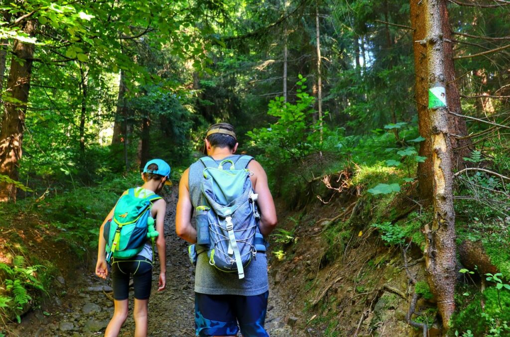 Turysta z dzieckiem, szlak zielony spacerowy - Brzuśnik, strome podejście prowadzące przez las