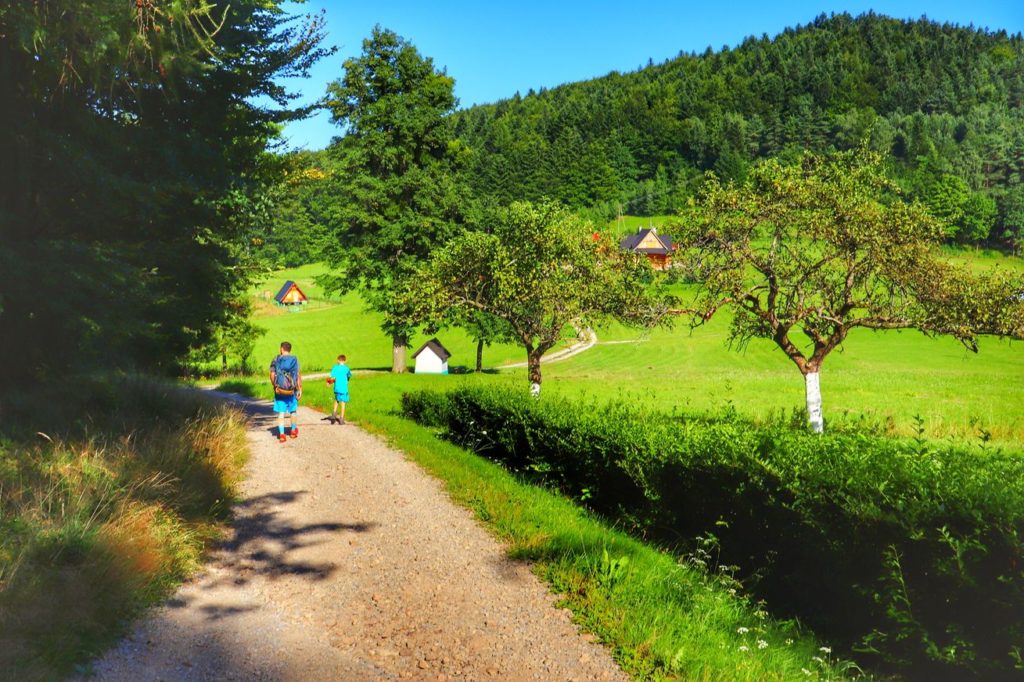 Turysta z dzieckiem, utwardzona droga prowadząca do Przełęczy Carchel w Beskidzie Małym