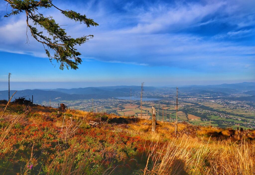 Widok rozciągający się z okolic szczytu Skrzyczne w Beskidzie Śląskim, niebieskie niebo