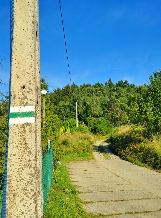Województwo małopolskie - Krzeszów szlak zielony, szeroka droga wyłożona betonowymi płytami