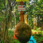 Zalesiony szczyt Żurawnica w Beskidzie Małym - wierzchołek zachodni, dziecko, żółta tabliczka oznaczająca szczyt