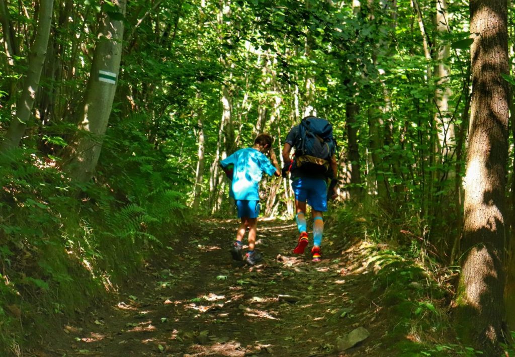 zielony szlak, Krzeszów, pnąca się w górę droga leśna, turysta z dzieckiem