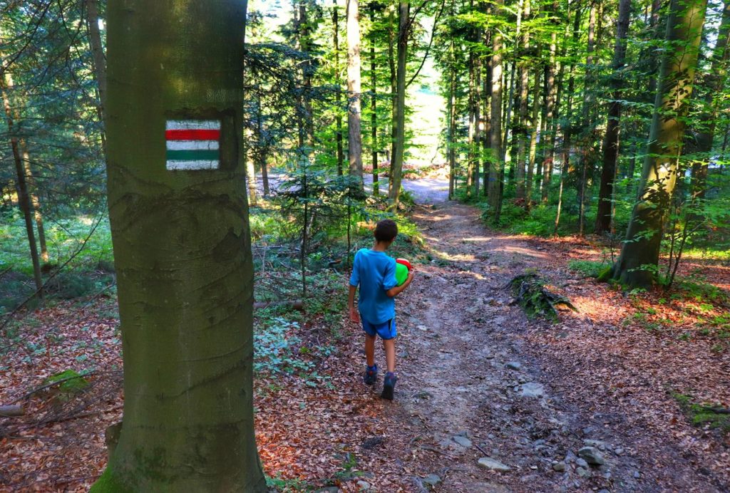 Ścieżka leśna schodząca w dół szlaku zielonego i szlaku czerwonego do Przełęczy Carchel w Beskidzie Małym, dziecko