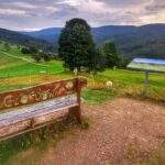 Cieńkó w Wiśle, drewniana ławka, tablica, polana, zachmurzone niebo