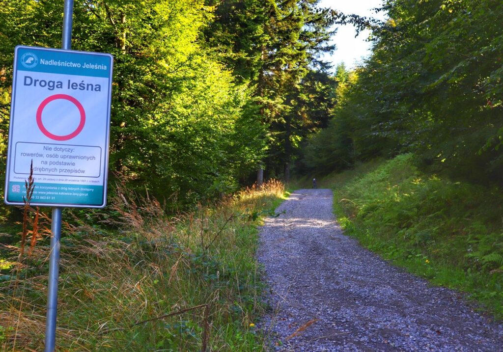 Droga leśna - znak na zielonym szlaku w Międzybrodziu Żywieckim