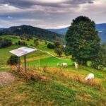 Grzbiet górski Cieńków w Wiśle. polana, konie