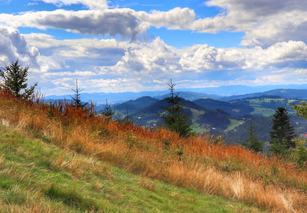 Krajobraz górski rozciągający się z okolic szczytu Rachowiec