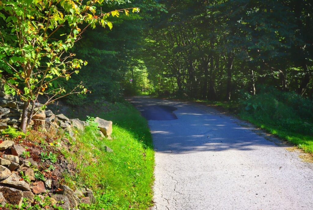 Międzybrodzie Żywieckie - szeroka asfaltowa droga na zielonym szlaku 