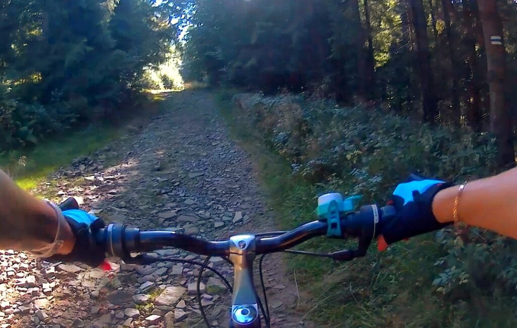 Szlak niebieski na Halę Jaworową w Beskidzie Śląskim, kamienista droga, rower
