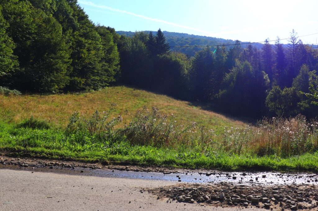 Nieduża polana przy drodze asfaltowej na ulicy Kotarz w Brennej na szlaku niebieskim, słoneczny, wrześniowy poranek