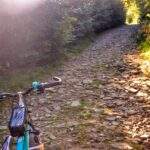 Rower, droga, kamienie, las - Brenna