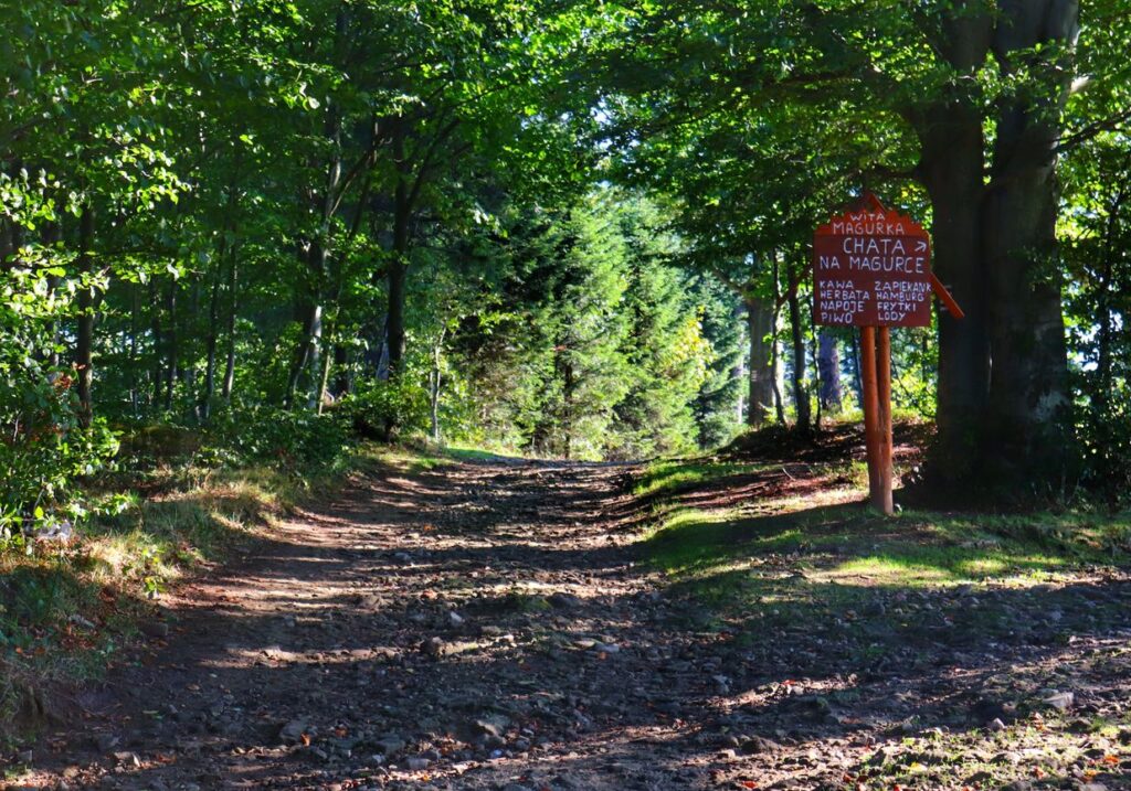 Szeroka i kamienista droga leśna prowadząca na Magurkę Wilkowicką, tablica - Chata na Magurce
