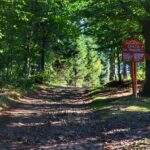 Szeroka i kamienista droga leśna prowadząca na Magurkę Wilkowicką, tablica - Chata na Magurce