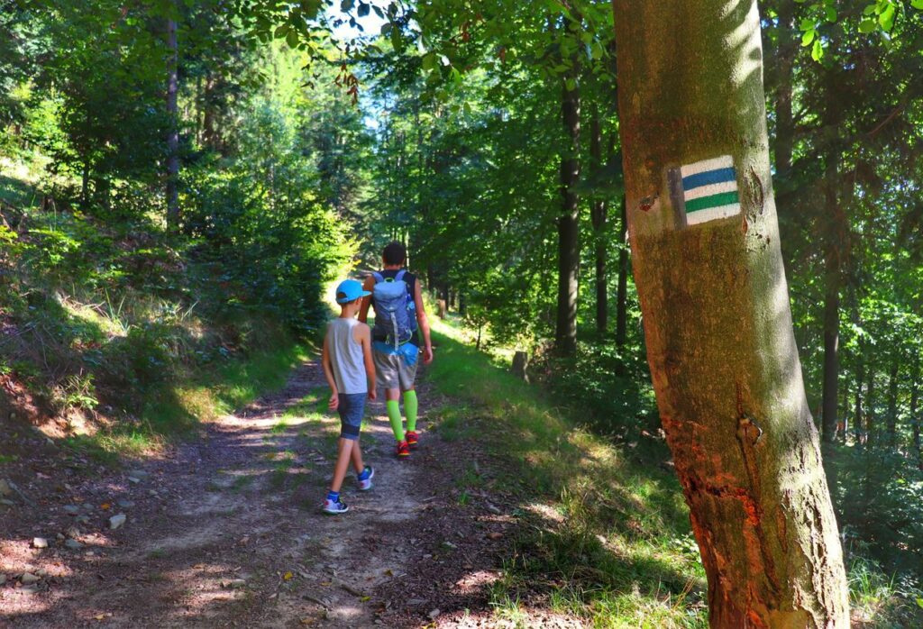Turyści, leśna ścieżka, szlak zielony i szlak niebieski idący w stronę Kościelca Małego w Beskidzie Małym
