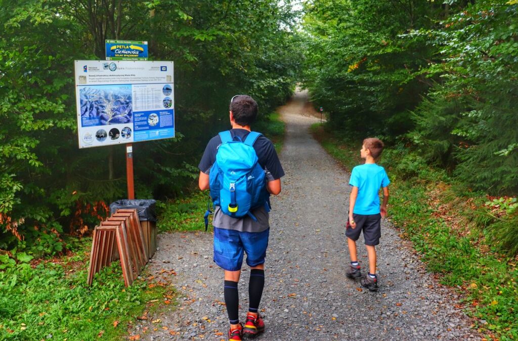 Turysta z dzieckiem na żółtym szlaku - Wisła, szeroka i prosta droga leśna, tablica Pętla Cieńkowska