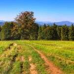 Widok rozciągający się z Hali Jaworowej, Beskid Śląski, niebieskie niebo
