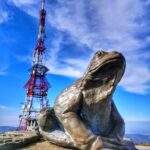 Wielka żaba Skrzyczne