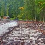 Istebna, droga leśna, jesień w Beskidach