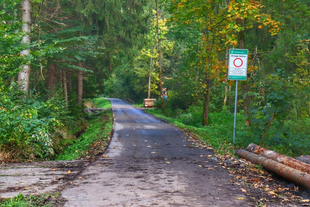 Droga leśna na szlaku żółtym spacerowym Źródło OLZY w Istebnej 