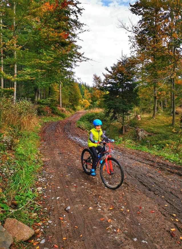 Dziecko na rowerze, droga leśna, jesień w Beskidzie Śląśkim