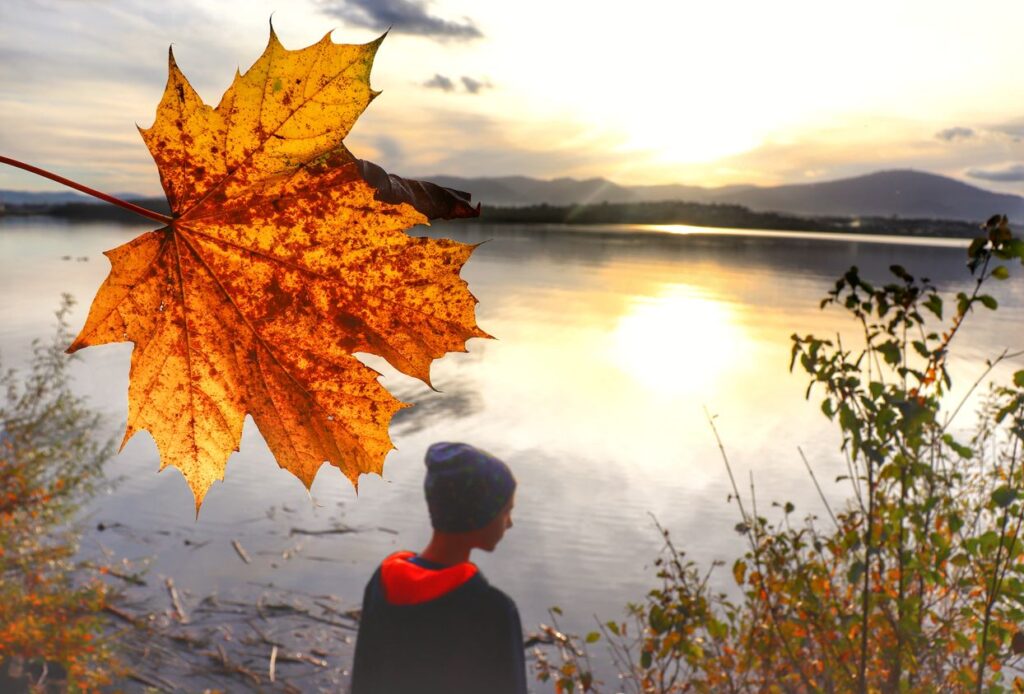 Żółty liść, dziecko, brzeg jeziora, zachód słońca - Jezioro Żywieckie