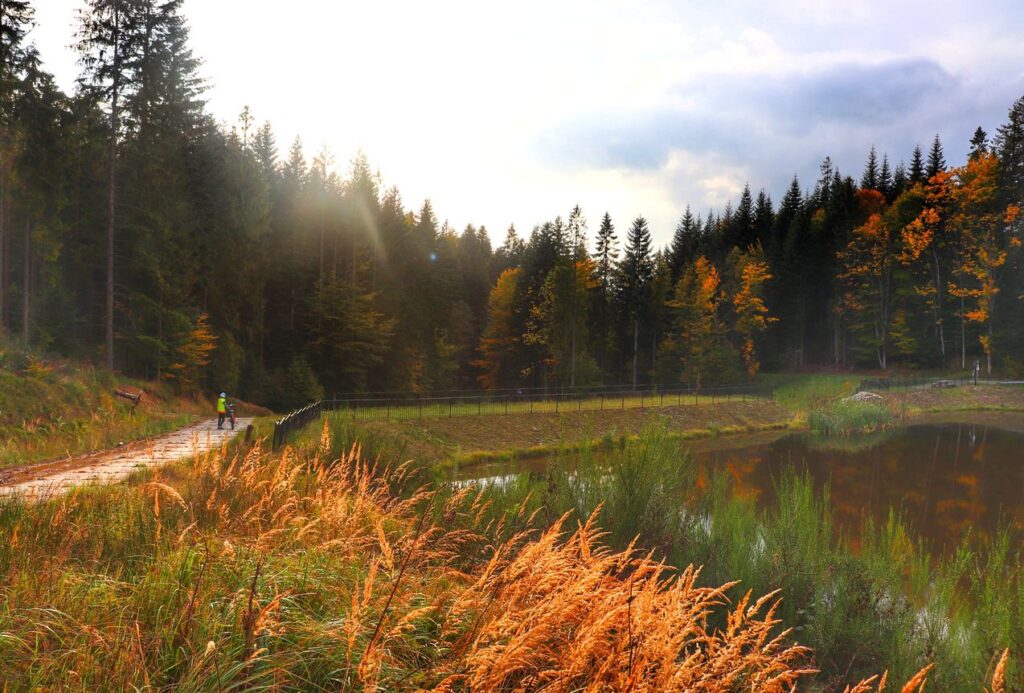 Jesień nad Zbiornik retencyjnym OLZA przy żółtym szlaku w Istebnej