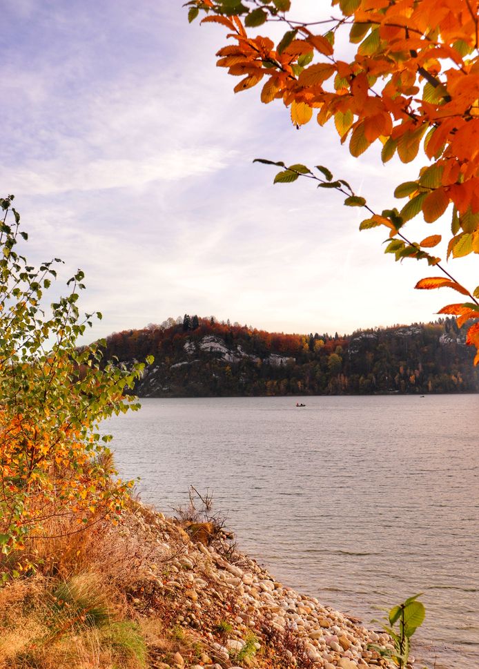 Jesienny widok na Jezioro Czorsztyńskie