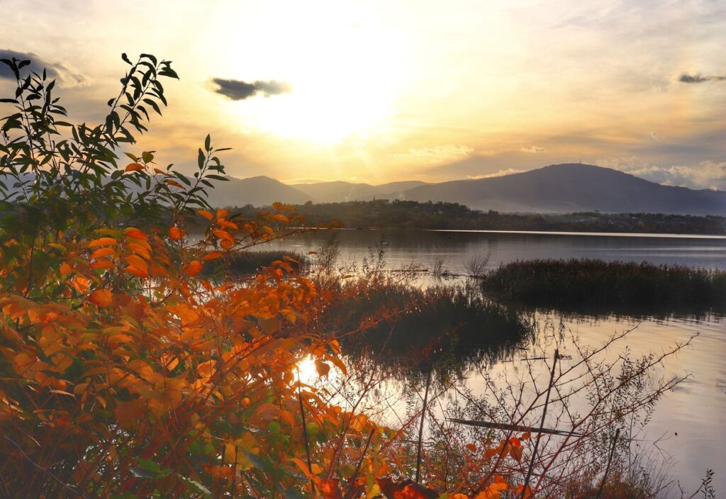 Jesienny zachód słońca nad Jeziorem Żywieckim, jesienne liście, w tle krajobraz górski